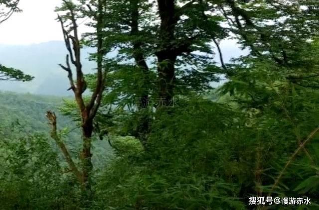 当你明白了人性，就不会抱怨了