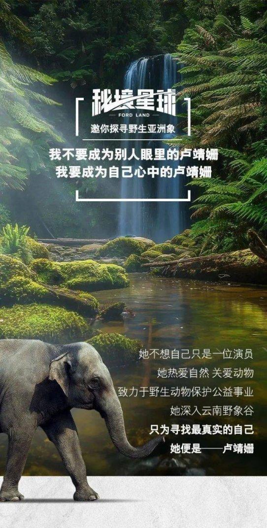 到底是炫耀,还是真诚的分享?